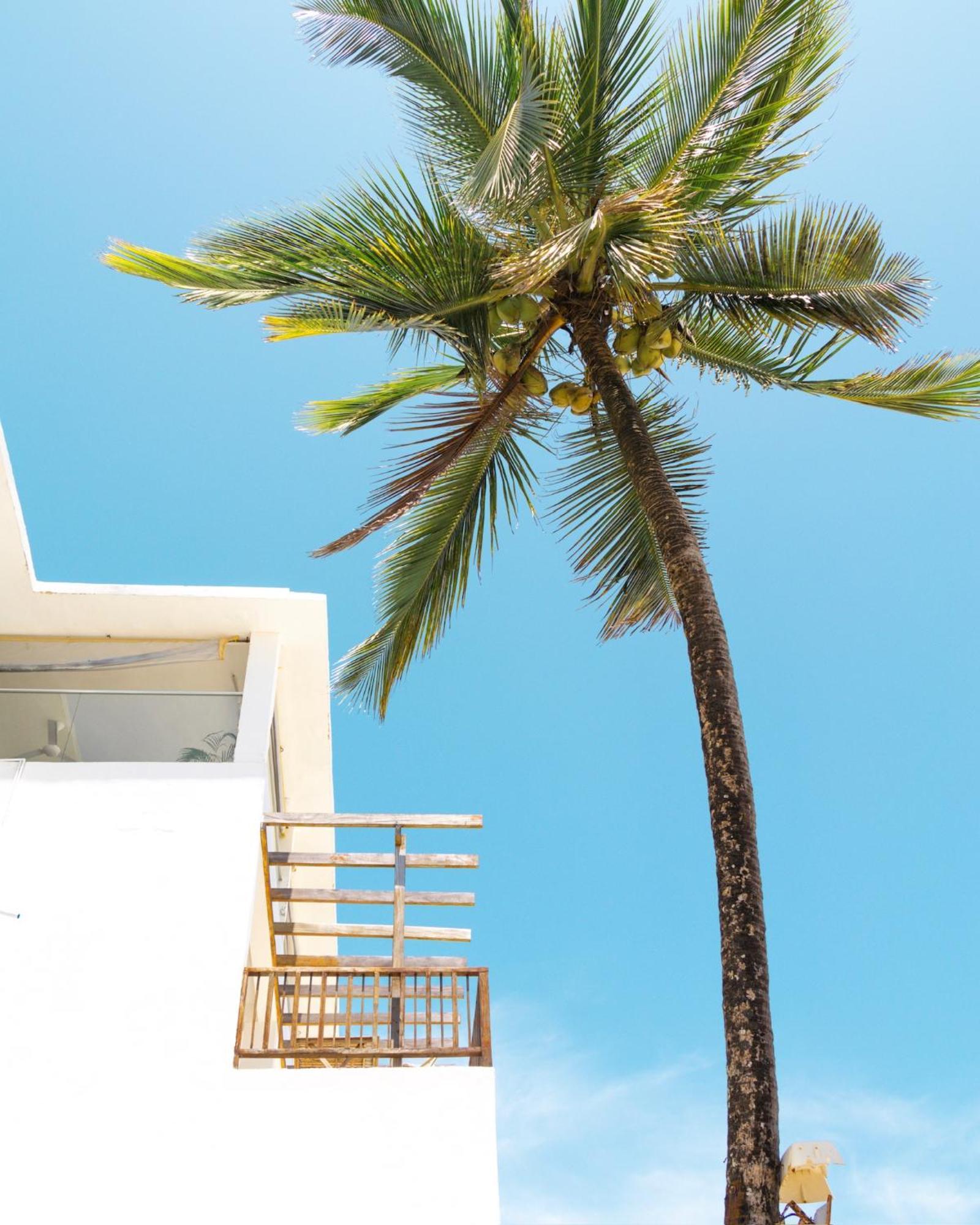 Pili Pili Sunrise Beach Hotel Jambiani  Exterior photo